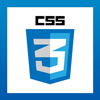 css3