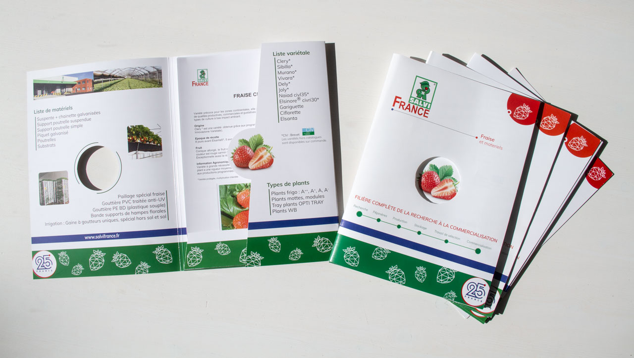 demo_print_A4_Brochure_salvi_france_2018.jpg